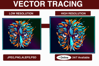 do manual vector tracing, redraw in high resolution in 1,2 hours