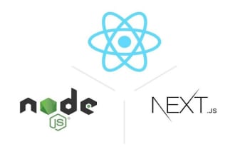 develop a web application in react js, next js, gatsby and nodejs