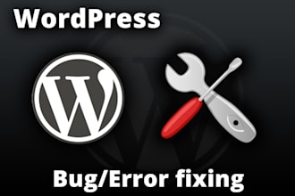 fix bugs or error messages in WordPress website