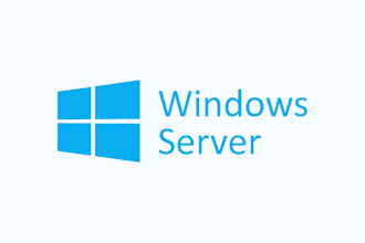 provide windows server support