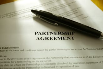 provide expert partnership and joint venture consultation