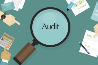 do internal, external, and interim audit of financial statements