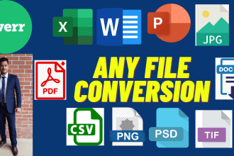 do any word, excel, PDF, CSV file conversion