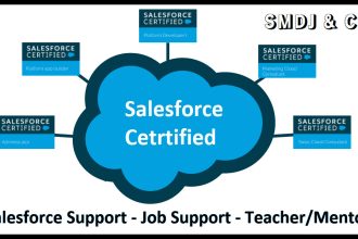 be your salesforce support, job support, teacher, or mentor