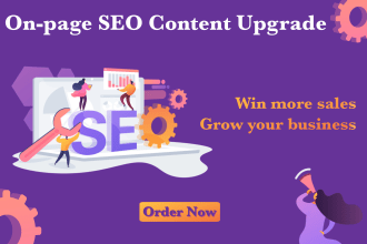 upgrade your content with on page SEO