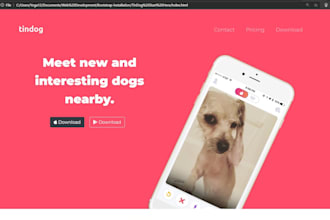 make you a intermediate custom website