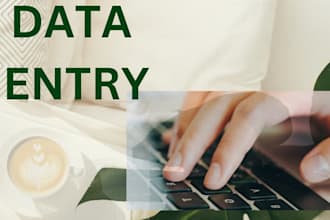 provide reliable data entry excel and web research services
