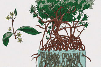 illustrate animals and plants in colour