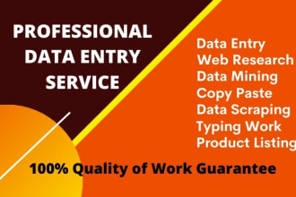 do perfect data entry, copy paste, typing, excel data entry