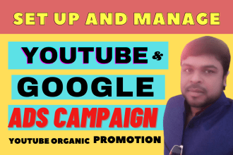 set up your youtube  ads, google ads campaign, and organic promotion