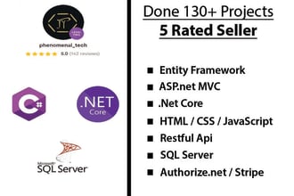 develop a custom web portal using asp dot net core and api