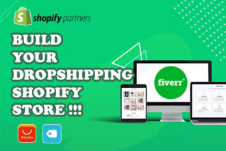 build a profitable shopify dropshipping store or ecommerce website