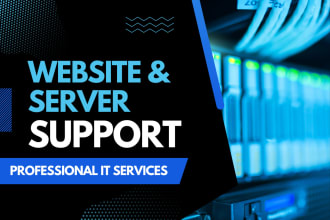 provide professional server support