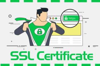install SSL and SEO
