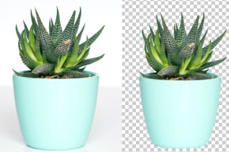 cut out images remove background professionally