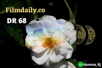 guest post on filmdaily co