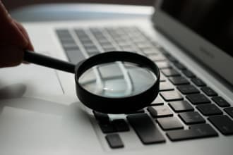 prepare books, financial statements, taxation and audit