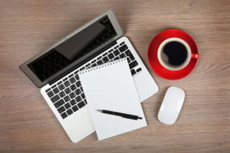 write authentic youtube video script in 24hrs