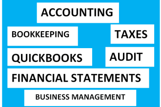 做会计、簿记、财务报表、税务和审计工作