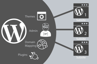 do wordpress multisite website development or customization