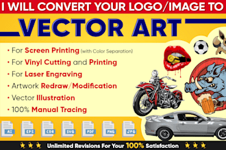 convert any image to multipurpose vector art