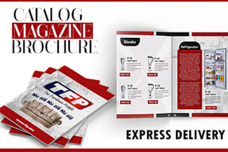 design modern brochure and product catalogue for your business