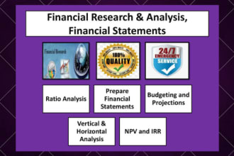perform financial and ratio analysis, npv, irr