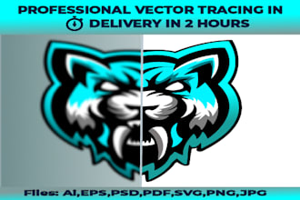 cleanup vector tracing, redraw, convert image to vector