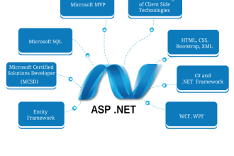 develop fix and deploy angular and asp net core applications