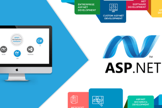 develop asp dot net or asp net mvc website