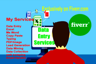 do data entry,ms excel,word in 24 hour