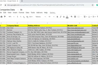 be your data expert, analyst, scrapper and typing