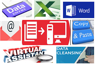 do data entry, typing and admin work