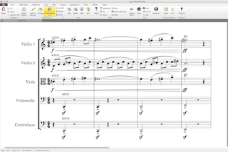 transcribe your music professionally