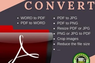 convert PDF to excel spreadsheet or word document in 12 hrs