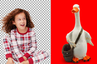 photo background removal, hair masking, clipping path, image editing