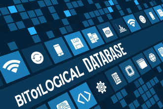 write sql queries and make databases