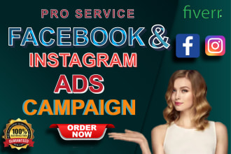 be your facebook ads campaign manager and run shopify fb ads