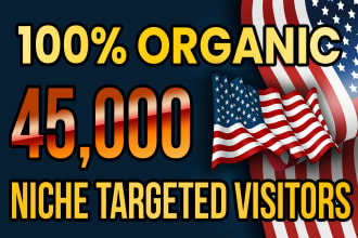 drive real USA targeted web traffic