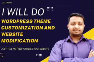 do wordpress customization and website modification