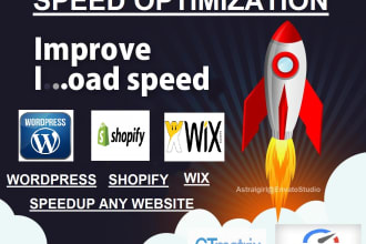 speedup shopify wix wodpress store optimize page speed score