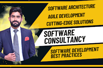 provide you with cutting edge software consultancy or architect services