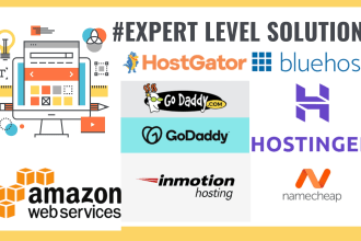 fix any issue in hostgator bluehost godaddy digitalocean siteground cpanel whml