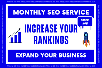 perform complete monthly seo service for  better performance