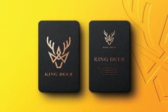 do professional business logo design with brand guideline
