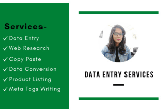 do all data entry work for you