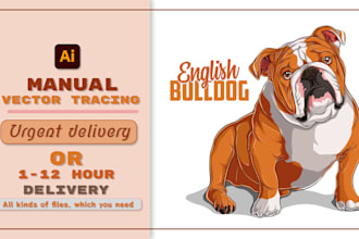 vectorize image manual vector tracing or illustrator work
