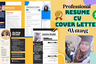 do professional cv, cover letter and resume writing