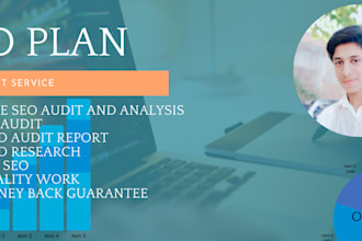 provide full SEO service for your website