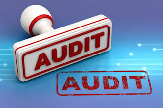 audit and review the financial statements of business entities